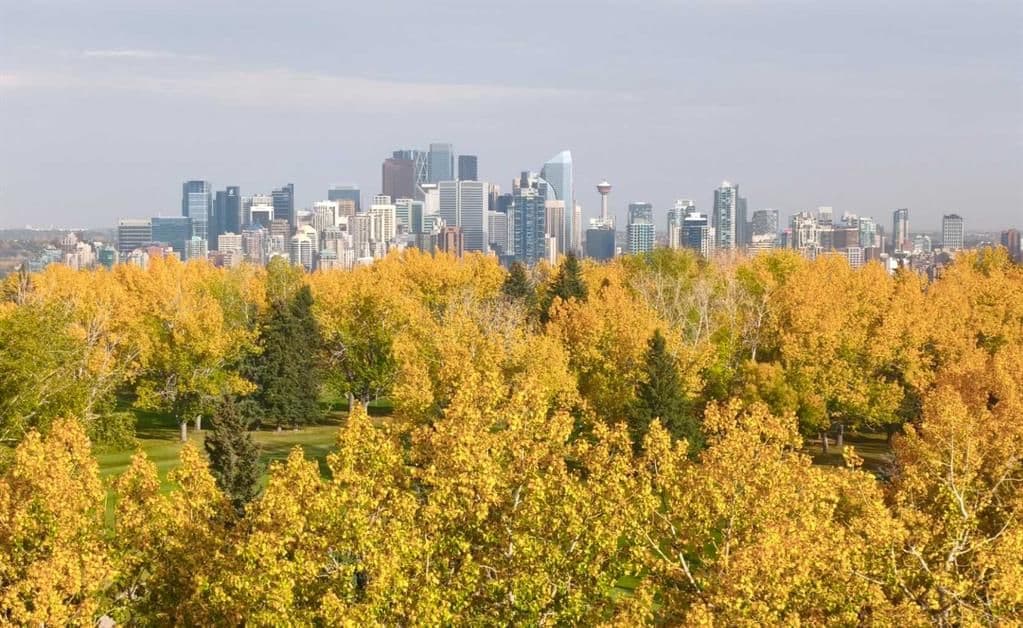 Sold property in Spruce Cliff