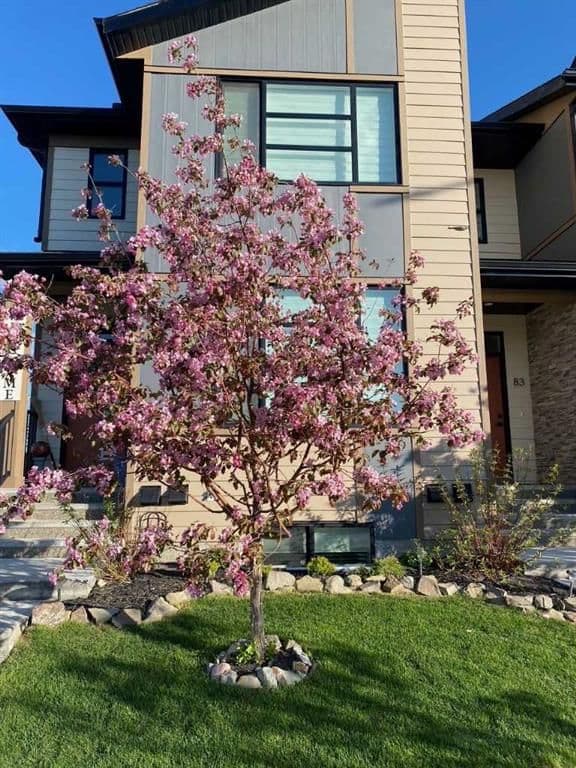 Sold property in Wolf Willow