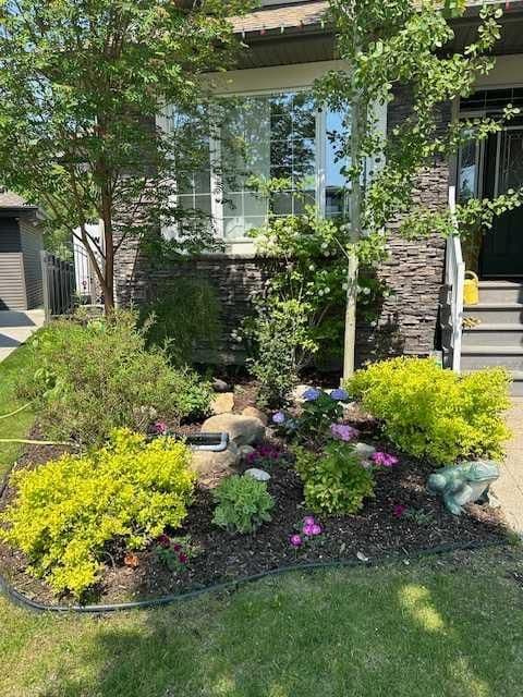 Sold property in Oriole Park West
